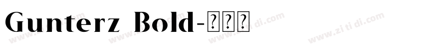 Gunterz Bold字体转换